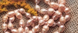 freshwater pearls photo